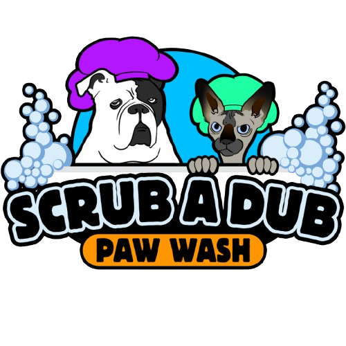 Nervous and anxious dog grooming at Scrub A Dub Paw Wash Kingston